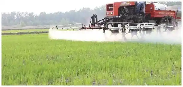 噻呋酰胺新功能 | 农业问题