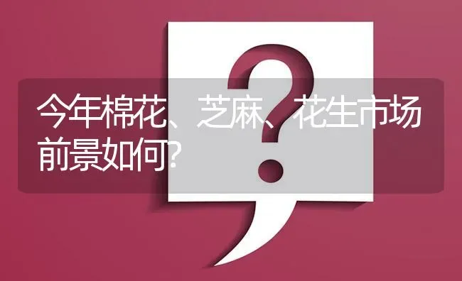 今年棉花、芝麻、花生市场前景如何? | 养殖问题解答