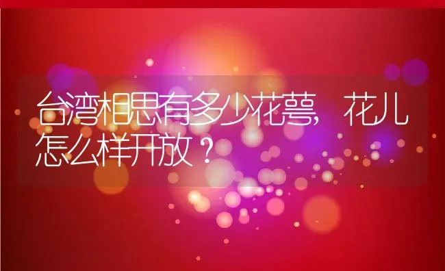 台湾相思有多少花萼,花儿怎么样开放？ | 养殖常见问题