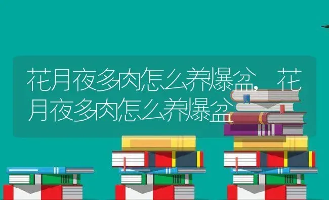 花月夜多肉怎么养爆盆,花月夜多肉怎么养爆盆 | 养殖常见问题