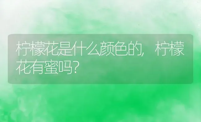 柠檬花是什么颜色的,柠檬花有蜜吗？ | 养殖常见问题