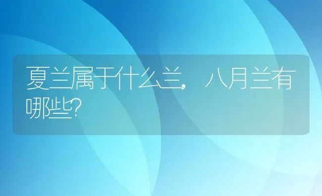 夏兰属于什么兰,八月兰有哪些？ | 养殖常见问题