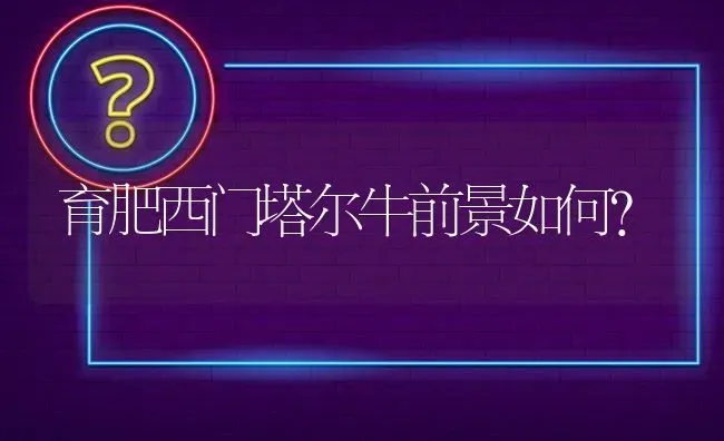 鱼全身长了白色的毛是什么病? | 养殖问题解答