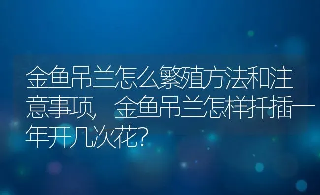 金鱼吊兰怎么繁殖方法和注意事项,金鱼吊兰怎样扦插一年开几次花？ | 养殖常见问题
