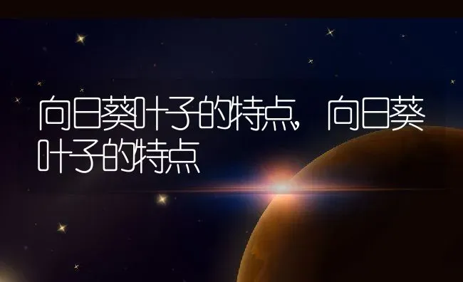 向日葵叶子的特点,向日葵叶子的特点 | 养殖常见问题