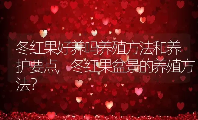 冬红果好养吗养殖方法和养护要点,冬红果盆景的养殖方法？ | 养殖常见问题