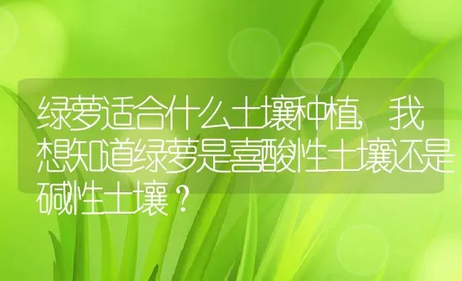 绿萝适合什么土壤种植,我想知道绿萝是喜酸性土壤还是碱性土壤？ | 养殖常见问题