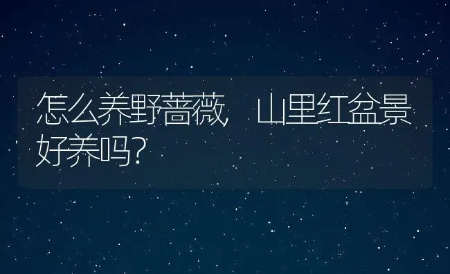 怎么养野蔷薇,山里红盆景好养吗？ | 养殖常见问题