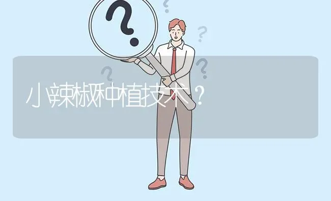 小辣椒种植技术? | 养殖问题解答