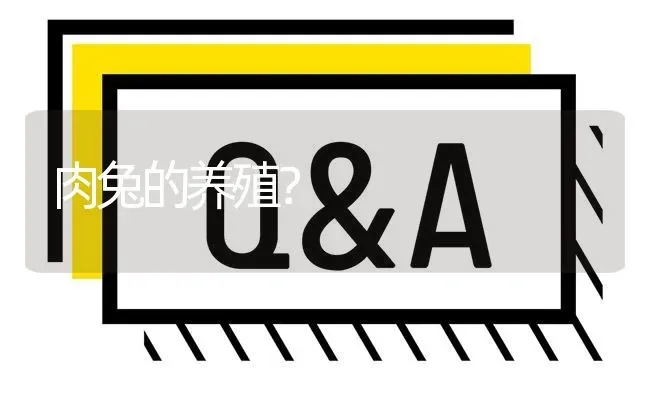 肉兔的养殖? | 养殖问题解答