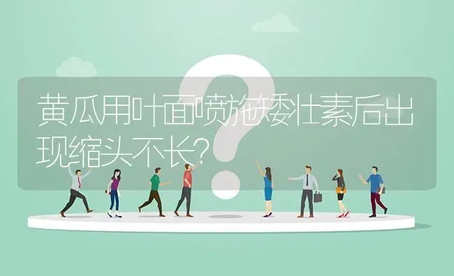 黄瓜用叶面喷施矮壮素后出现缩头不长? | 养殖问题解答