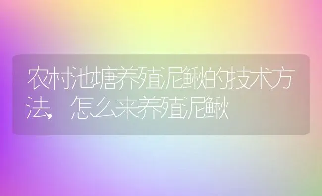 农村池塘养殖泥鳅的技术方法,怎么来养殖泥鳅 | 养殖常见问题