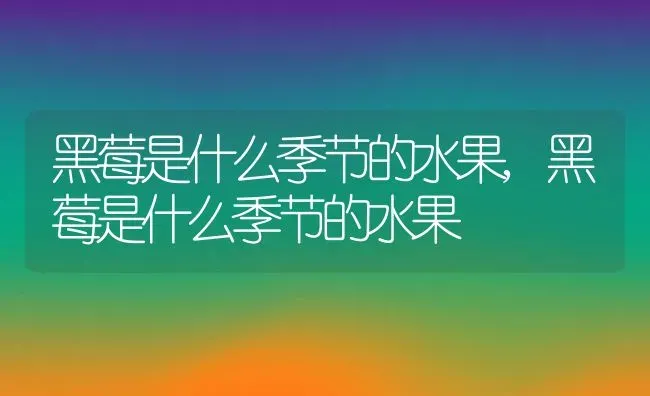 黑莓是什么季节的水果,黑莓是什么季节的水果 | 养殖常见问题