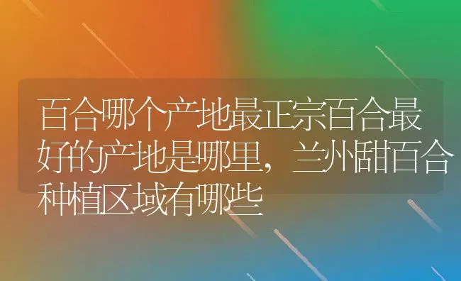 百合哪个产地最正宗百合最好的产地是哪里,兰州甜百合种植区域有哪些 | 养殖常见问题