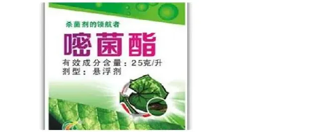 嘧菌酯和吡唑醚菌酯有什么区别 | 生活常识