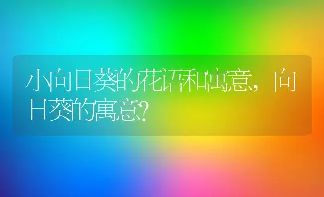 小向日葵的花语和寓意,向日葵的寓意？ | 养殖常见问题