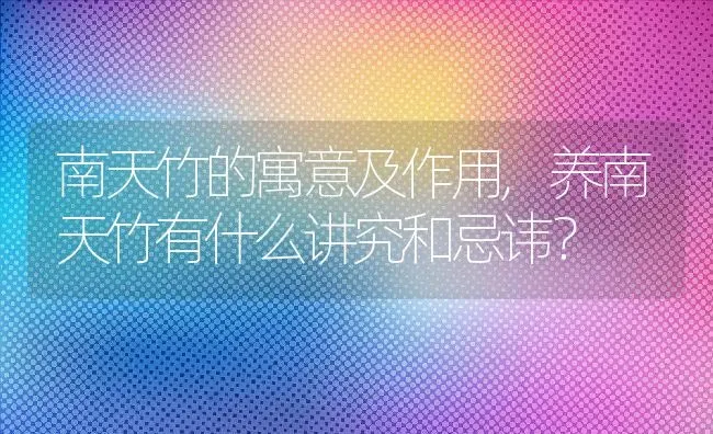 南天竹的寓意及作用,养南天竹有什么讲究和忌讳？ | 养殖常见问题