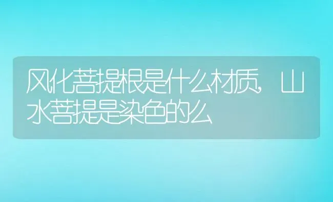 风化菩提根是什么材质,山水菩提是染色的么 | 养殖常见问题