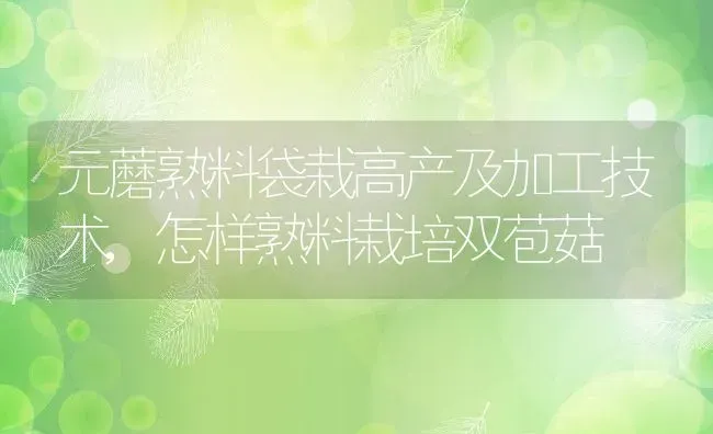 元蘑熟料袋栽高产及加工技术,怎样熟料栽培双苞菇 | 养殖常见问题