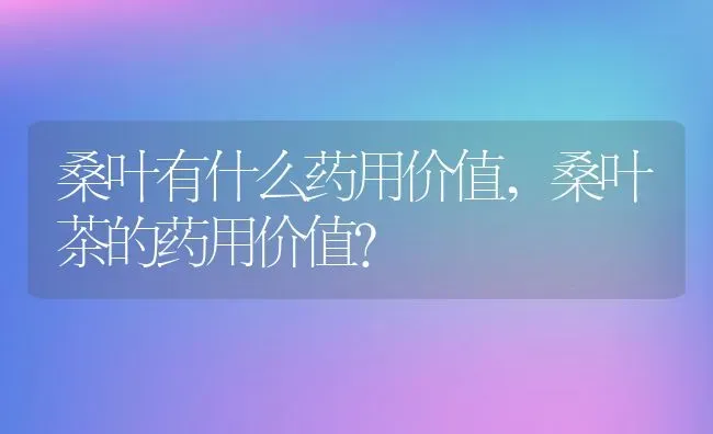 桑叶有什么药用价值,桑叶茶的药用价值？ | 养殖常见问题