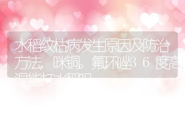 水稻纹枯病发生原因及防治方法,咪铜。氟环唑36度高温能打水稻吗 | 养殖常见问题