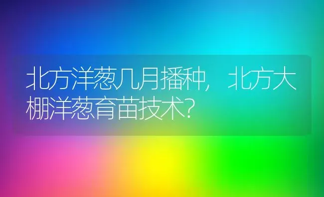 北方洋葱几月播种,北方大棚洋葱育苗技术？ | 养殖常见问题