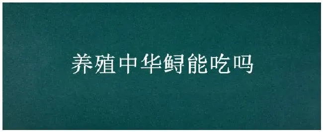 养殖中华鲟能吃吗 | 农业问题