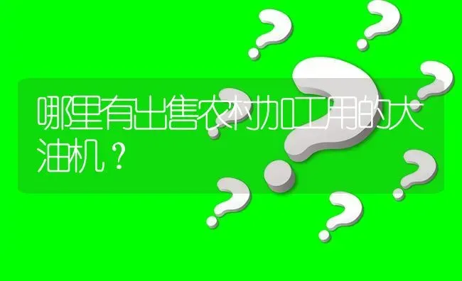 哪里有出售农村加工用的大油机? | 养殖问题解答