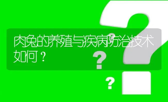 肉兔的养殖与疾病防治技术如何? | 养殖问题解答