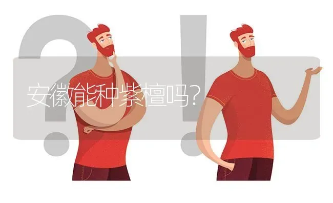 安徽能种紫檀吗? | 养殖问题解答