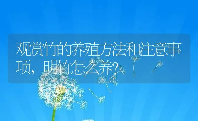 观赏竹的养殖方法和注意事项,明竹怎么养？ | 养殖常见问题