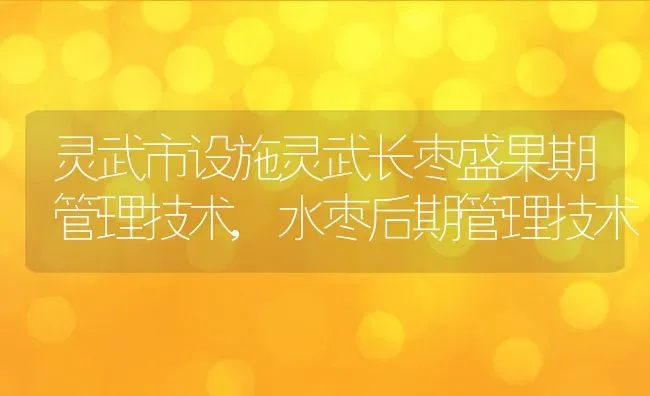 灵武市设施灵武长枣盛果期管理技术,水枣后期管理技术 | 养殖常见问题