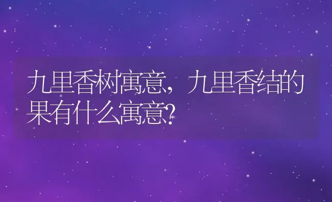 九里香树寓意,九里香结的果有什么寓意？ | 养殖常见问题