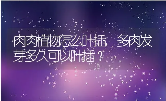 肉肉植物怎么叶插,多肉发芽多久可以叶插？ | 养殖常见问题