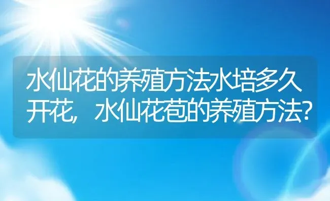 水仙花的养殖方法水培多久开花,水仙花苞的养殖方法？ | 养殖常见问题