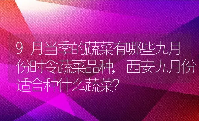 9月当季的蔬菜有哪些九月份时令蔬菜品种,西安九月份适合种什么蔬菜？ | 养殖常见问题