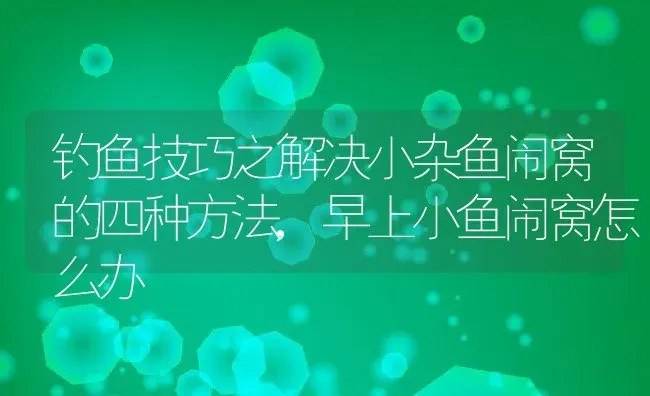 钓鱼技巧之解决小杂鱼闹窝的四种方法,早上小鱼闹窝怎么办 | 养殖常见问题