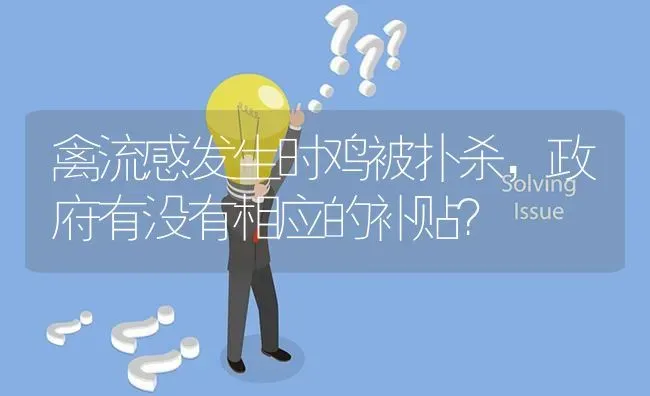 禽流感发生时鸡被扑杀,政府有没有相应的补贴? | 养殖问题解答