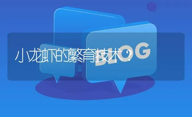 小龙虾的繁育技术? | 养殖问题解答
