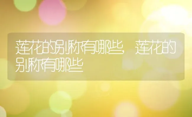 莲花的别称有哪些,莲花的别称有哪些 | 养殖常见问题