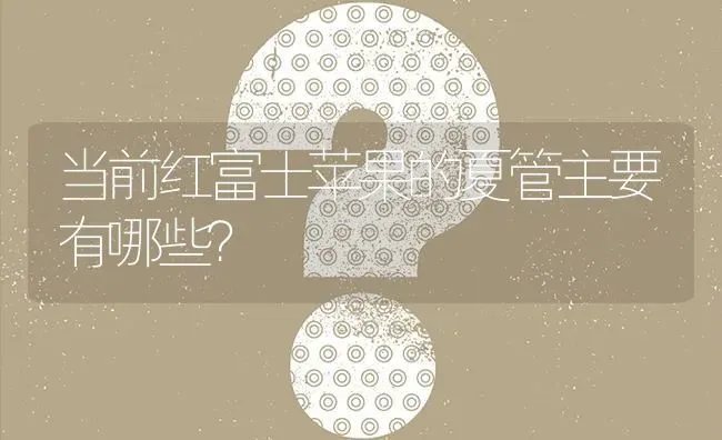 当前红富士苹果的夏管主要有哪些? | 养殖问题解答