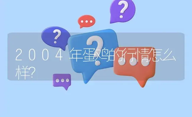 2004年蛋鸡的行情怎么样? | 养殖问题解答