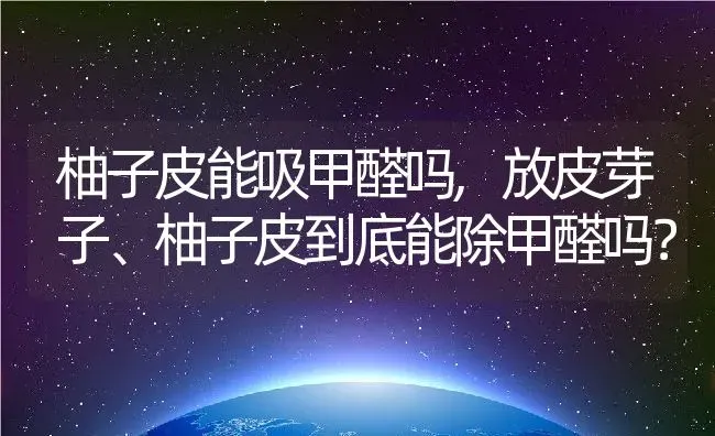 柚子皮能吸甲醛吗,放皮芽子、柚子皮到底能除甲醛吗？ | 养殖常见问题