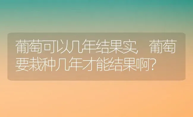 葡萄可以几年结果实,葡萄要栽种几年才能结果啊？ | 养殖常见问题