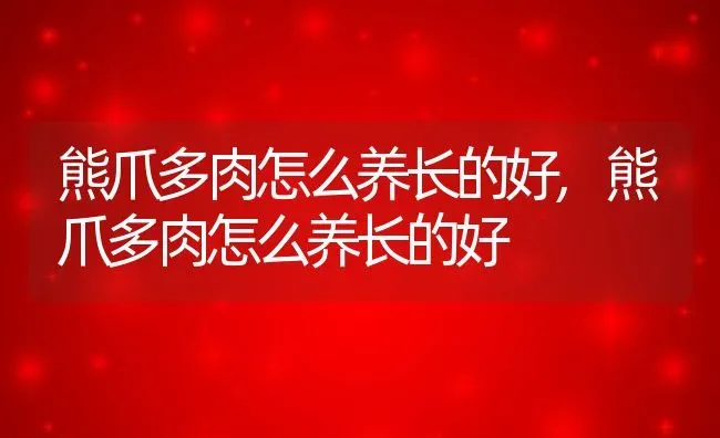 熊爪多肉怎么养长的好,熊爪多肉怎么养长的好 | 养殖常见问题