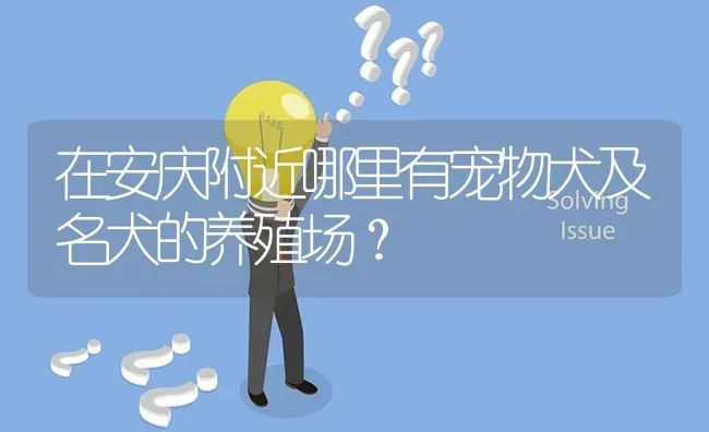 在安庆附近哪里有宠物犬及名犬的养殖场? | 养殖问题解答