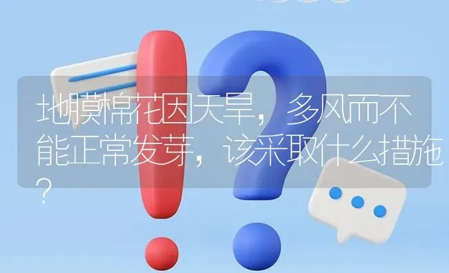地膜棉花因天旱,多风而不能正常发芽,该采取什么措施? | 养殖问题解答