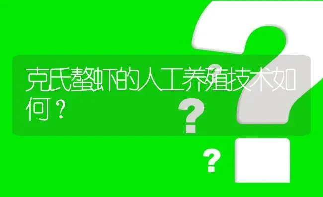 克氏螯虾的人工养殖技术如何? | 养殖问题解答