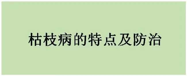 枯枝病的特点及防治 | 生活常识