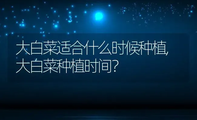 大白菜适合什么时候种植,大白菜种植时间？ | 养殖常见问题